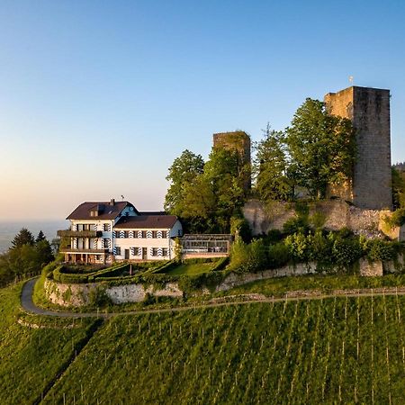Burg Windeck ***S Hotel Bühl Exterior foto