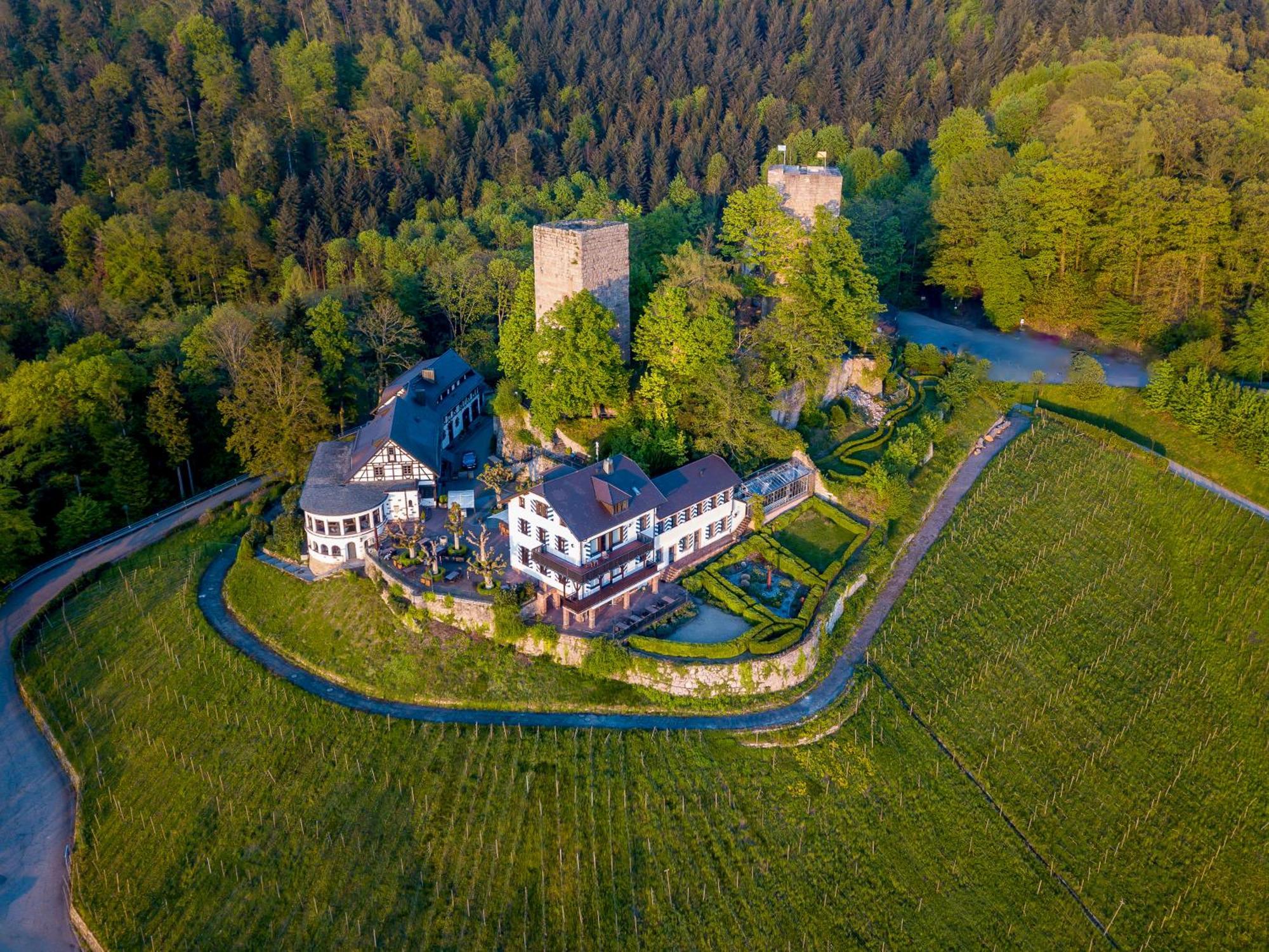 Burg Windeck ***S Hotel Bühl Exterior foto